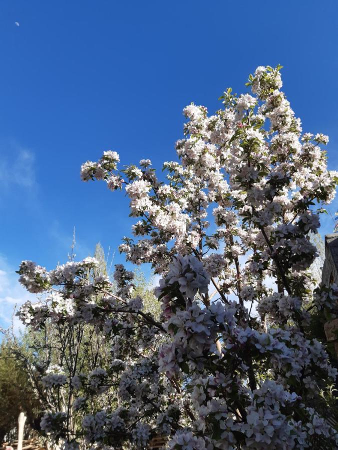 Chakzot Garden House Hotel Leh Luaran gambar