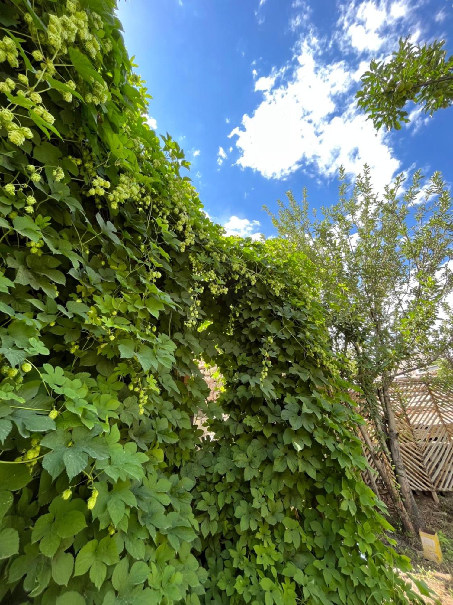 Chakzot Garden House Hotel Leh Luaran gambar