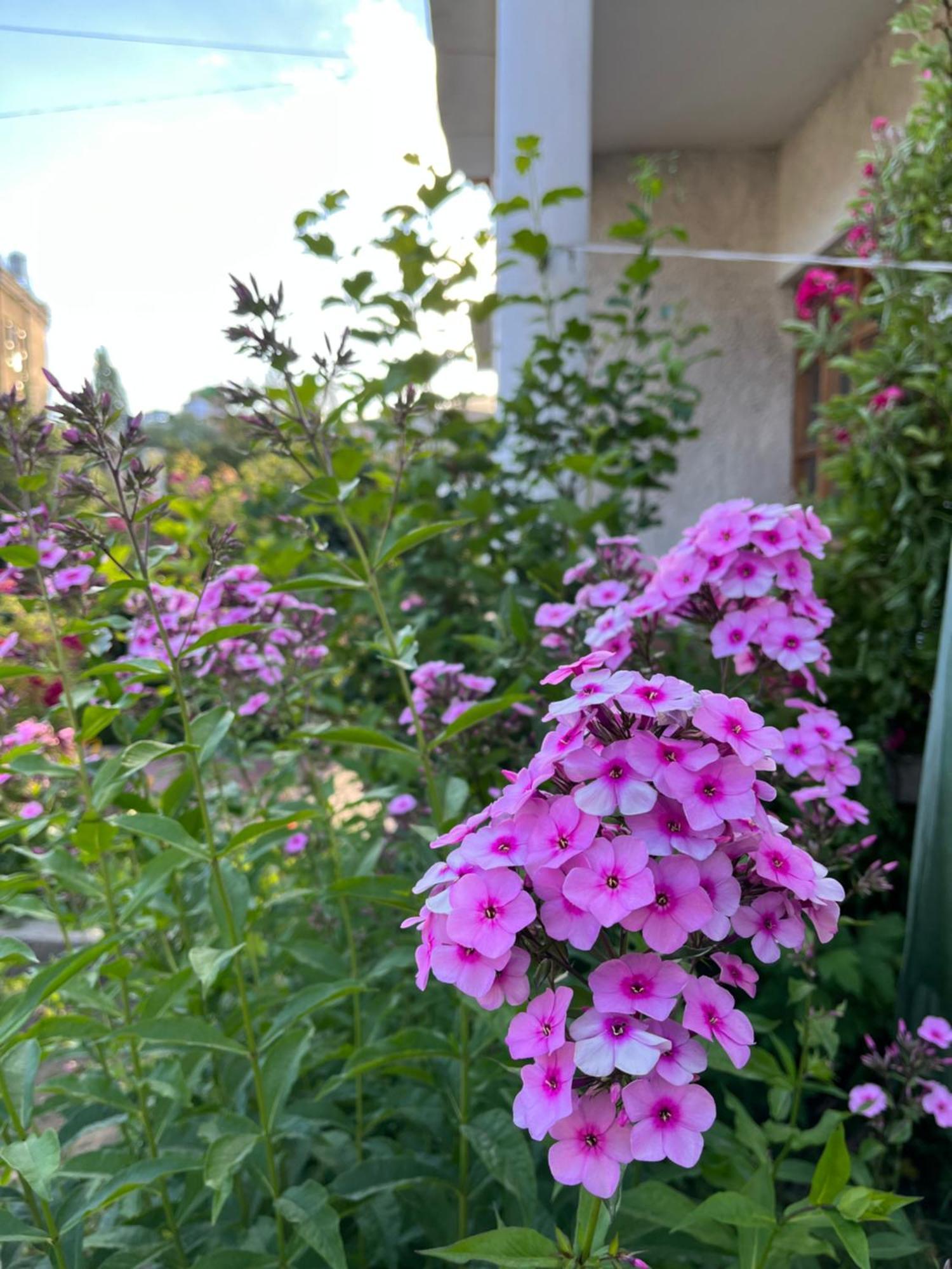 Chakzot Garden House Hotel Leh Luaran gambar