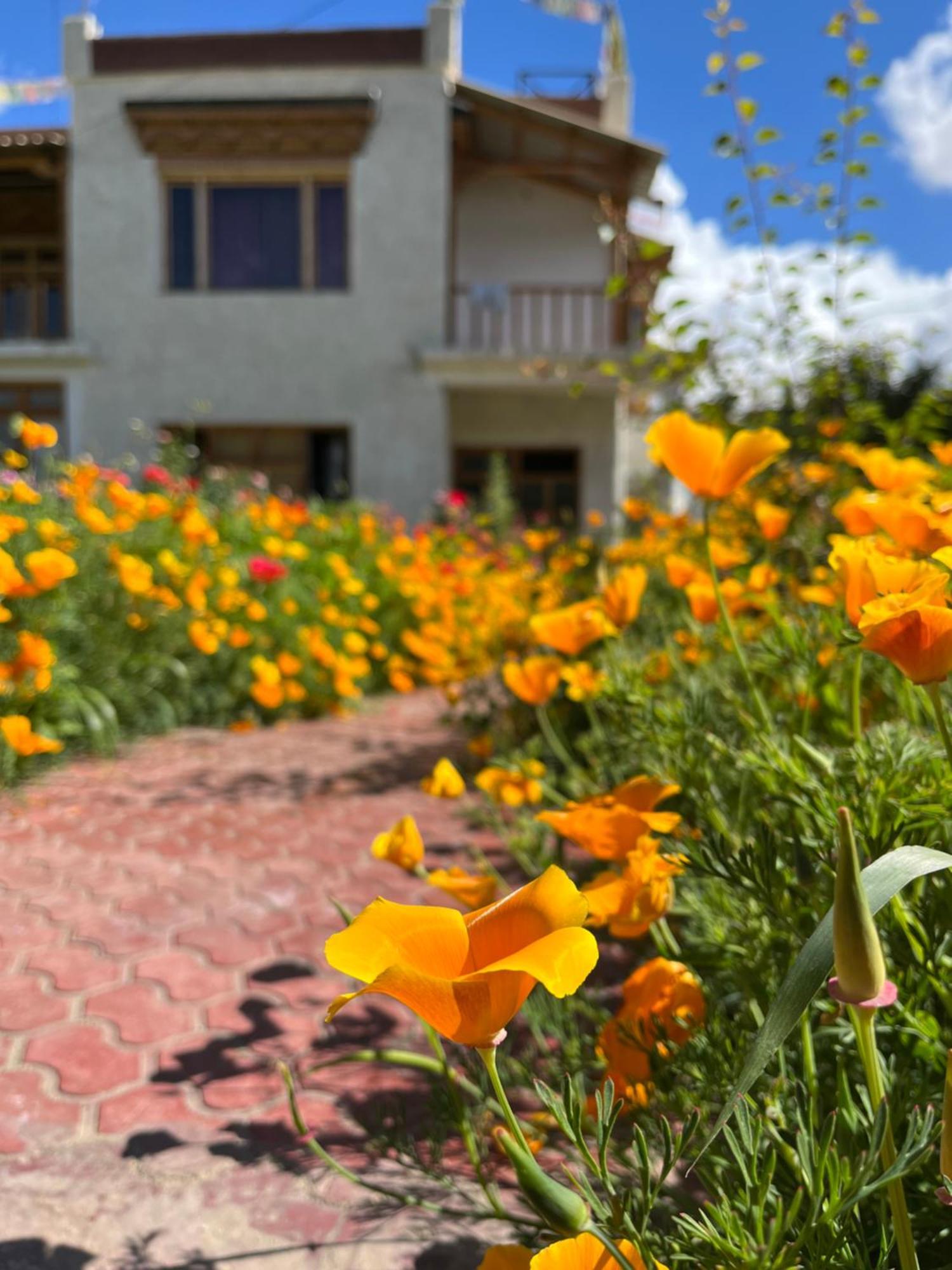 Chakzot Garden House Hotel Leh Luaran gambar